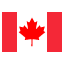 Flag of the language of the website